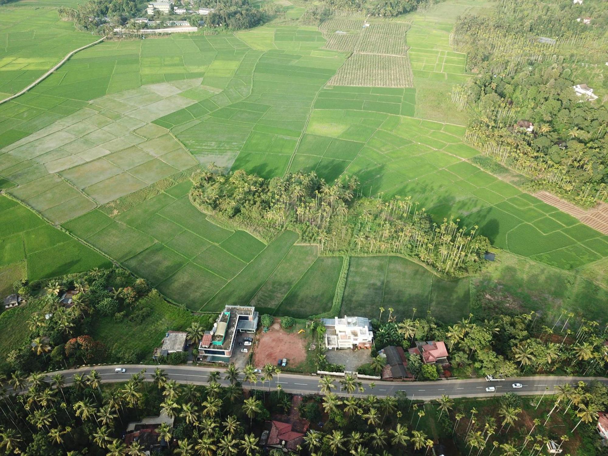 Paddyfield Inn マナンタバディー エクステリア 写真