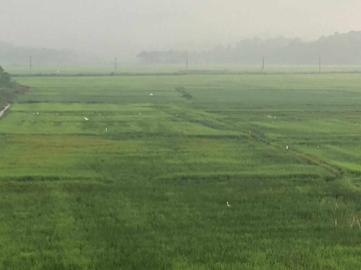 Paddyfield Inn マナンタバディー エクステリア 写真