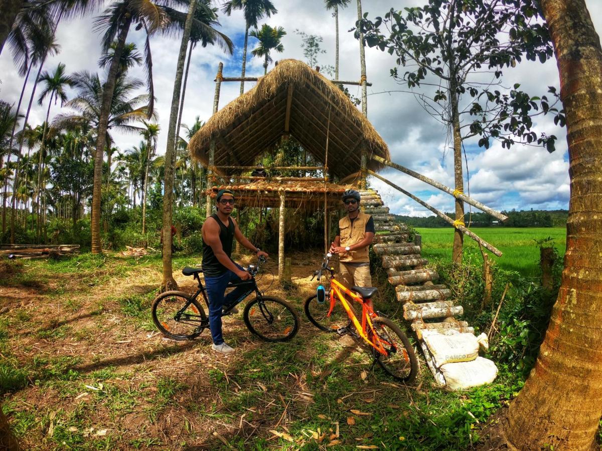 Paddyfield Inn マナンタバディー エクステリア 写真